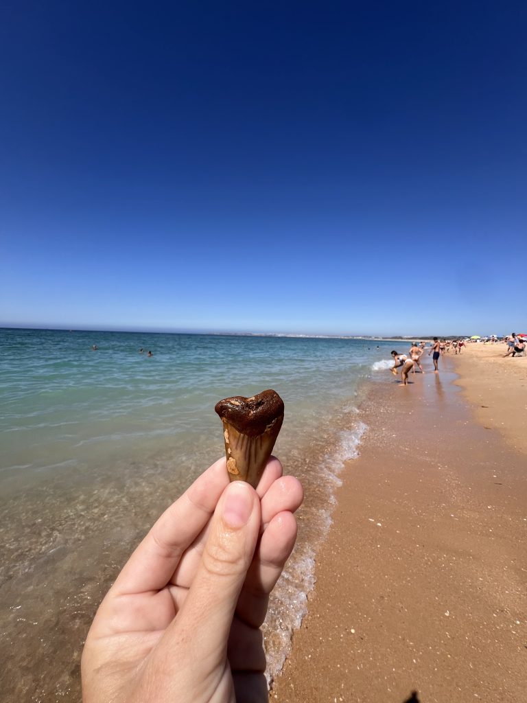 alvor portugal