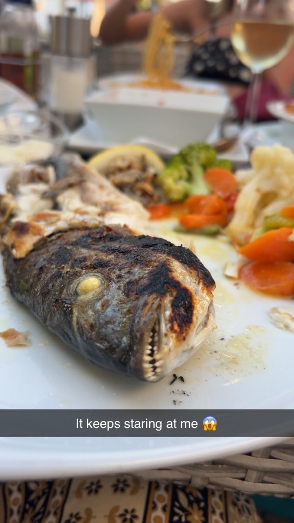 The Dorado Fish